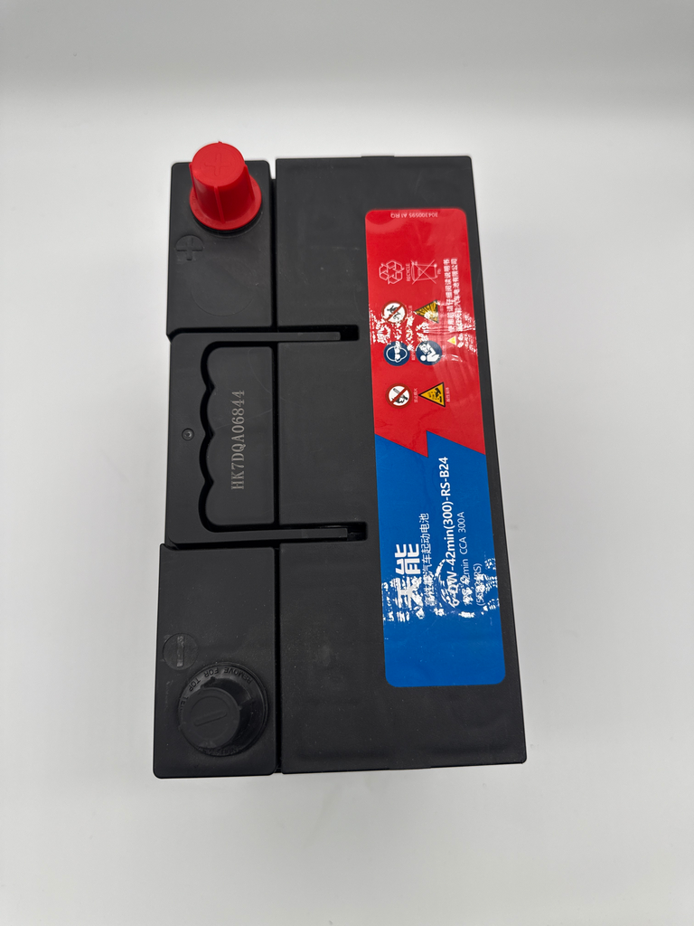 [LP0106010001] Batterie de démarrage 12 V / 42 Ah